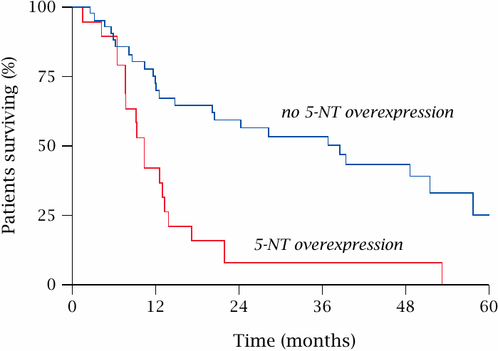 Overexpression of 5′-nucleotidase in leukemic cells shortens survival