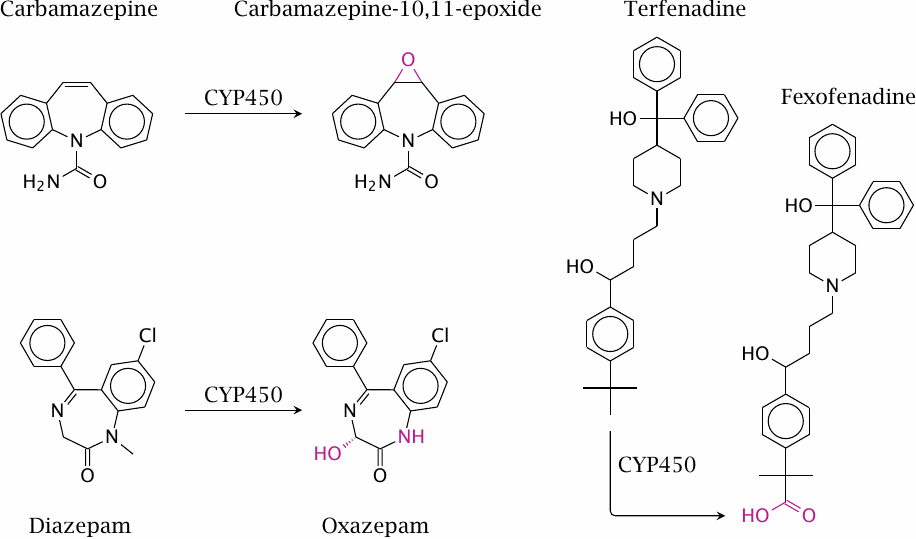 Examples of active metabolites formed by CYP450 enzymes