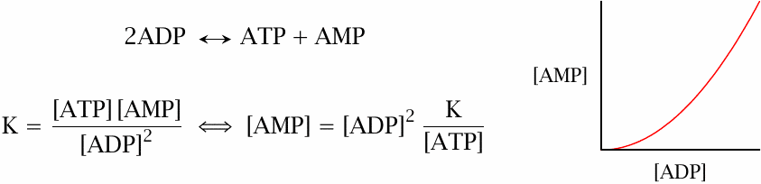 Equations for the adenylate kinase reaction and its equilibrium
