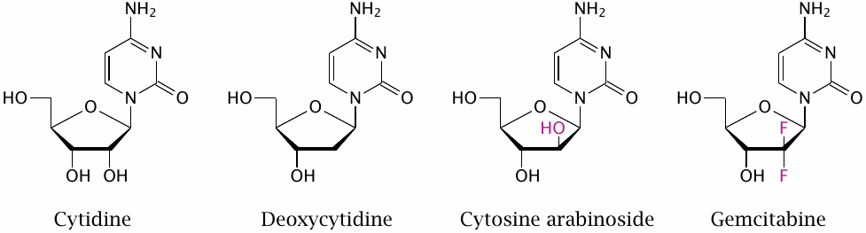 Structure of cytosine arabinoside (araC) and gemcitabine