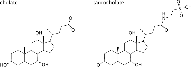 Structures of cholate and taurocholate