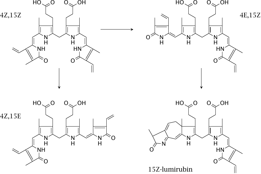 Photoisomerization products of bilirubin