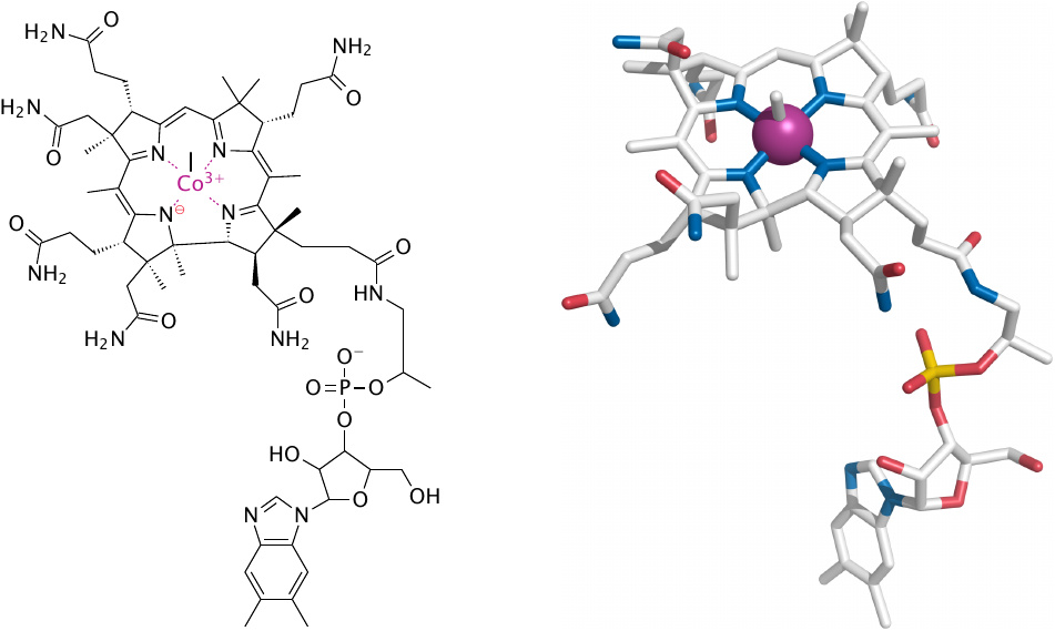 Structure of methylcobalamin