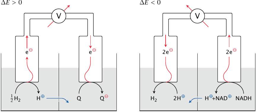 Illustration of redox potential and its measurement