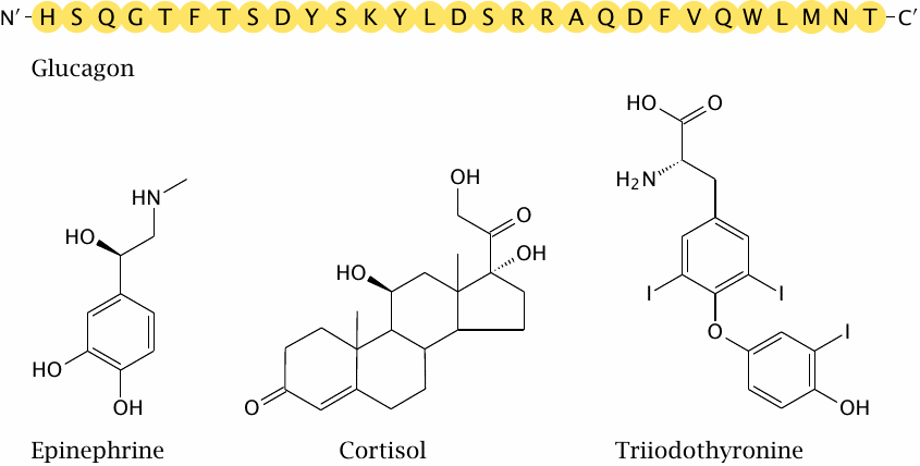 Structures of epinephrine, cortisol, and triiodothyronine