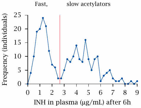 Bimodal distribution of INH acetylation speed