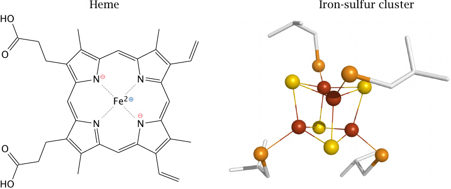 Structures of heme and of an iron-sulfur cluster