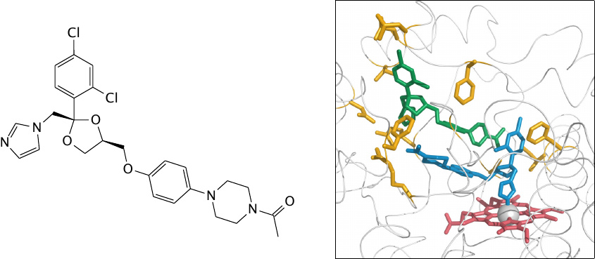 Ketoconazole bound to cytochrome P450 3A4