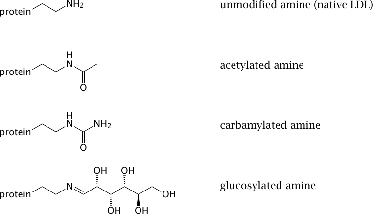Structures of acetylated, carbamylated, and glucosylated amine
                    moieties, which occur in modified LDL particles