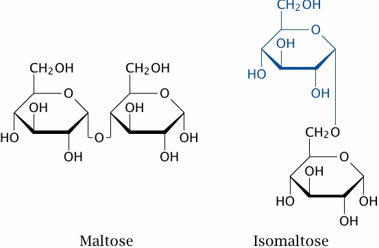 Structures of maltose and isomaltose in Haworth projection