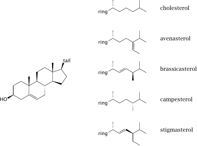 Structures of cholesterol, avenasterol, brassicasterol, campesterol,
                    and stigmasterol