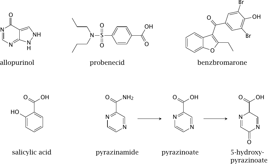 Drugs that affect purine degradation and elimination