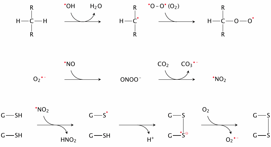 Reactions of radicals with each other and with non-radicals
