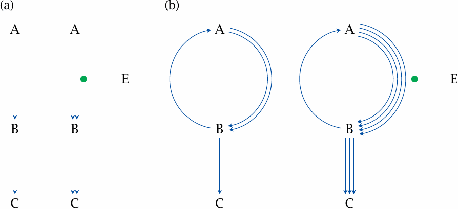 Schematic illustration of a substrate cycle