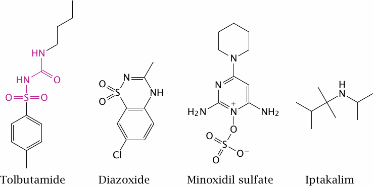 Structures of tolbutamide, diazoxide, minoxidil, and iptakalim