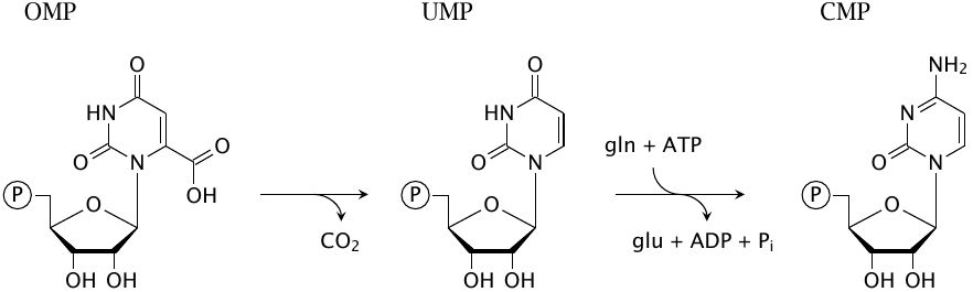 Synthesis of pyrimidines (2)