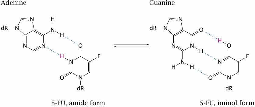 Mutagenesis through mispairing of the 5-FU iminol tautomer