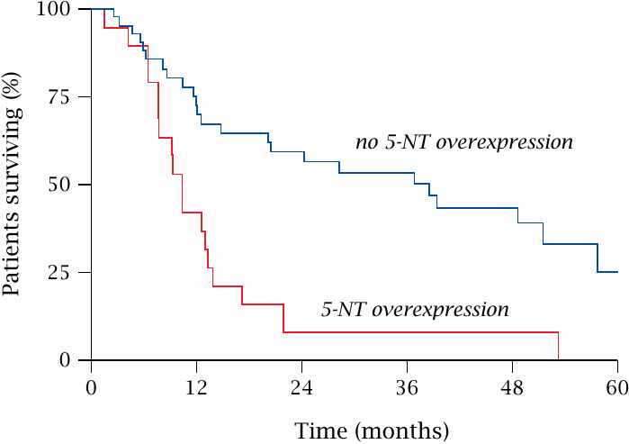 Overexpression of 5′-nucleotidase in leukemic cells correlates with
                    reduced survival rates