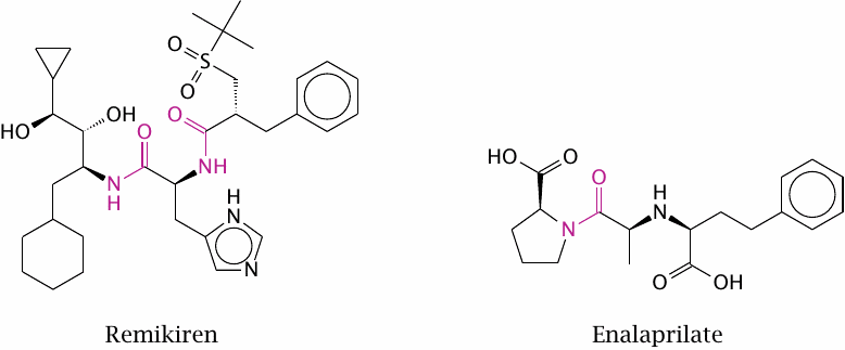 Two inhibitors of proteolytic angiotensin release