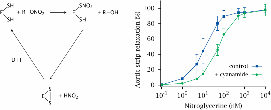 Bioactivation of nitroglycerin by mitochondrial aldehyde
                    dehydrogenase
