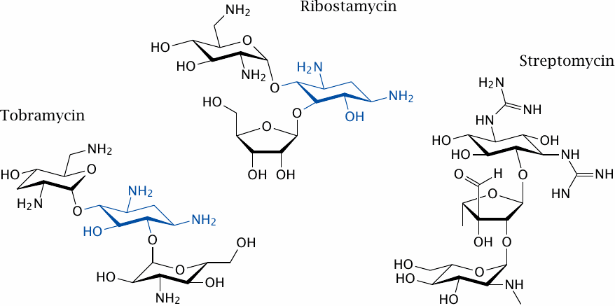 Some aminoglycoside antibiotics