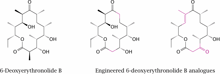 Two compounds produced by engineered variants of 6-deoxyerythronolide
                    B synthase