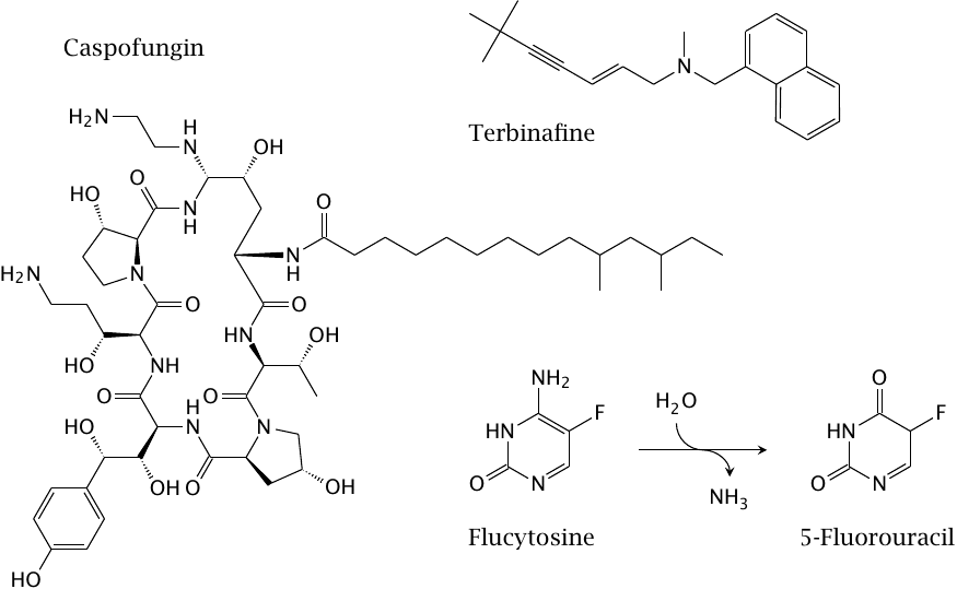 Other antifungal drugs