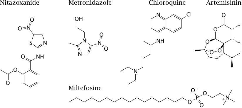 Antiprotozoal drugs