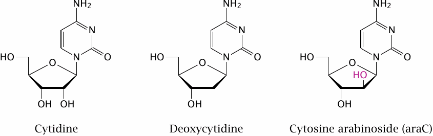 Structure of cytosine arabinoside (araC)