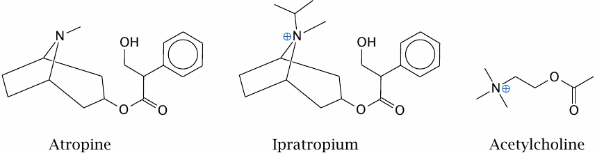 Natural compounds and semisynthetic derivatives