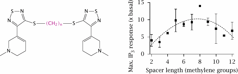 Bivalent agonists of muscarinic acetylcholine receptors