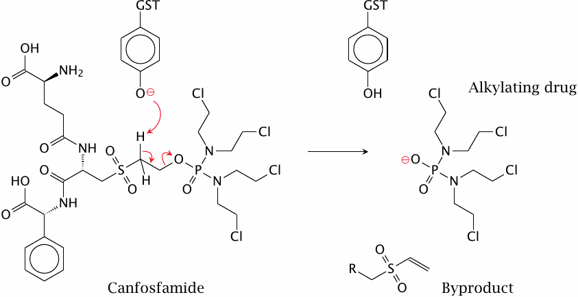 Activation of canfosfamide by glutathione-S-transferase