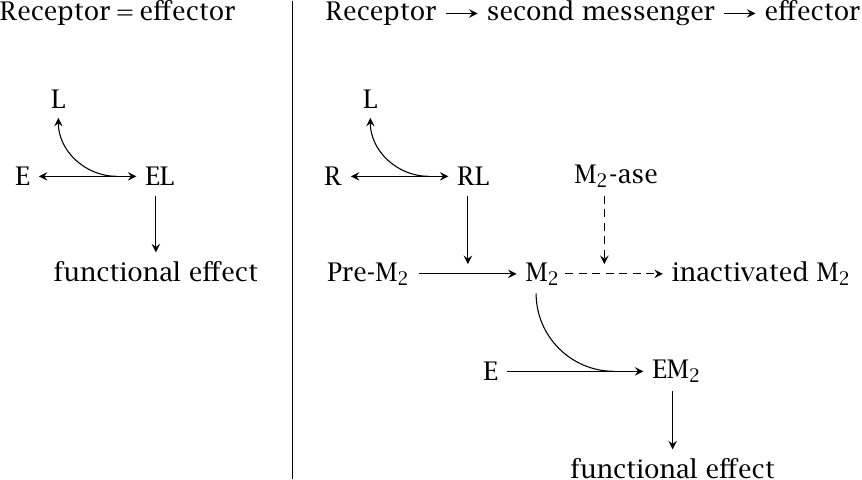 Dose-effect relationships in biochemical cascades