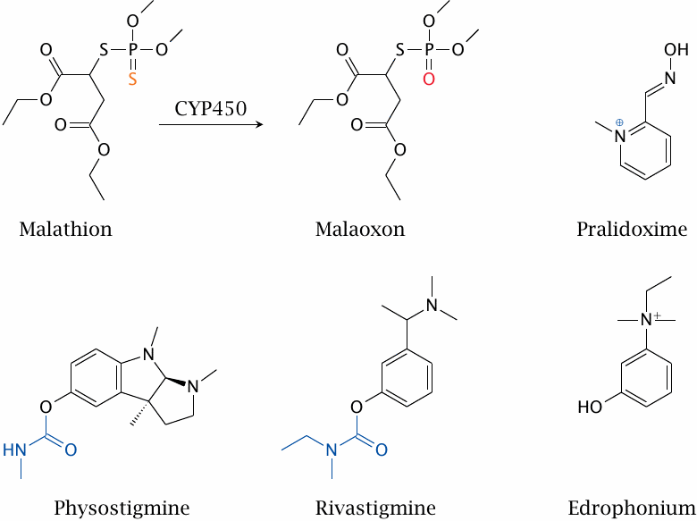 Structures of cholinesterase inhibitors and of a reactivator