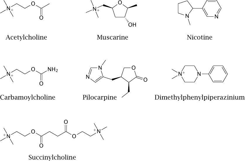 Structures of cholinergic receptor agonists