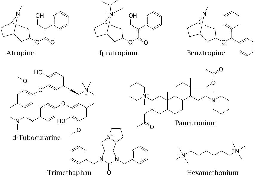 Structures of cholinergic receptor antagonists