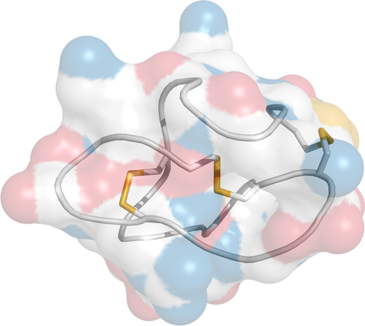 Structure of ω-conotoxin, an inhibitor of N-type CaV channels