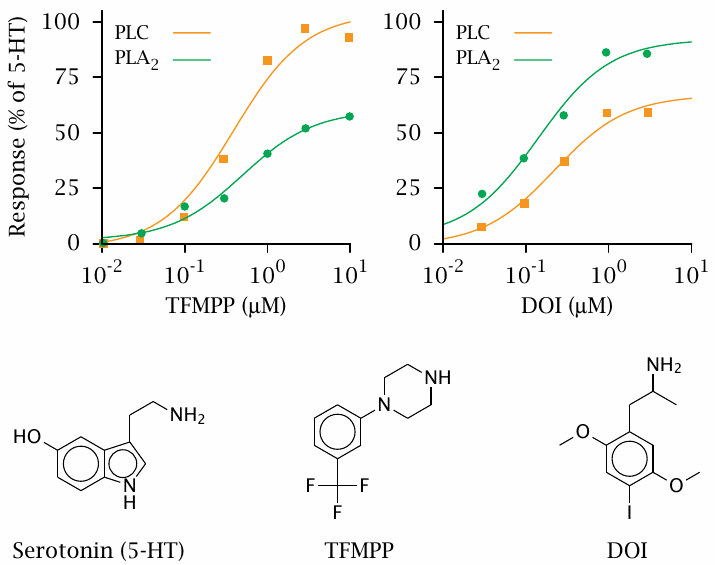 Experimental example: Agonist-specific coupling of 5-HT2 receptors