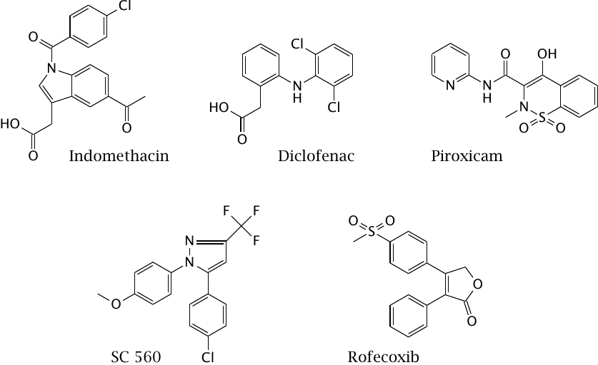 Noncovalent cyclooxygenase inhibitors