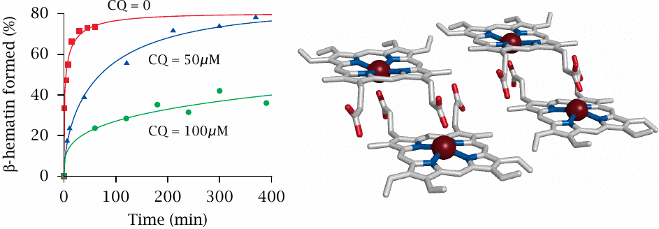 Chloroquine inhibits formation of β-hematin