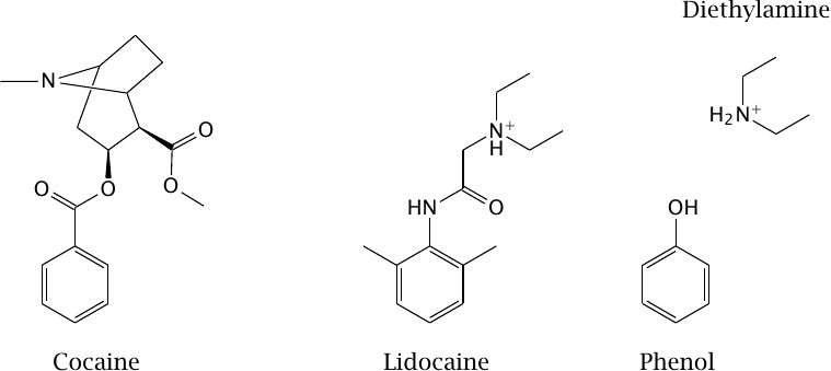 Diethylamine and phenol resemble parts of the lidocaine molecule