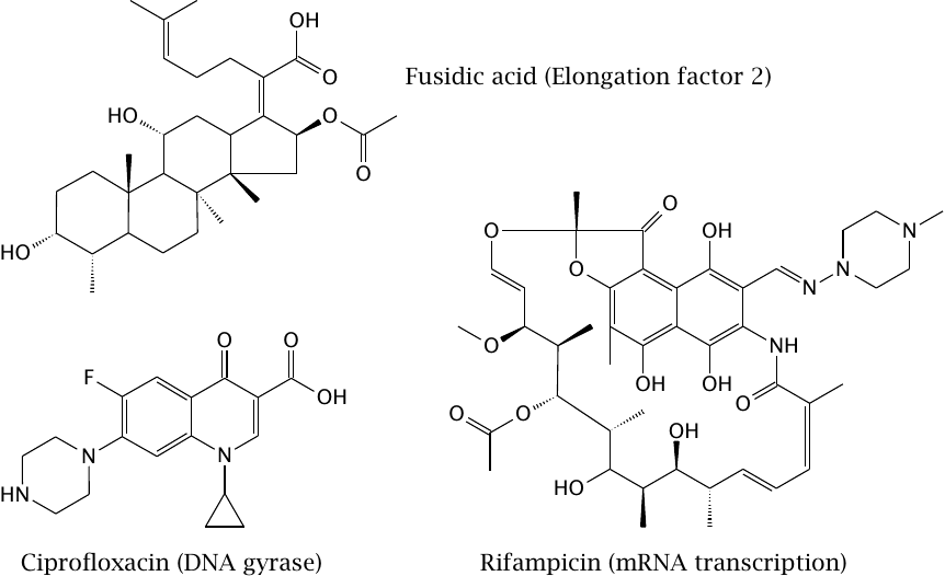 Diverse inhibitors of bacterial macromolecular synthesis
