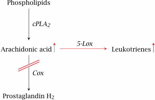 Cox inhibition can promote the synthesis of leukotrienes