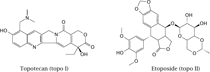 DNA topoisomerase inhibitors