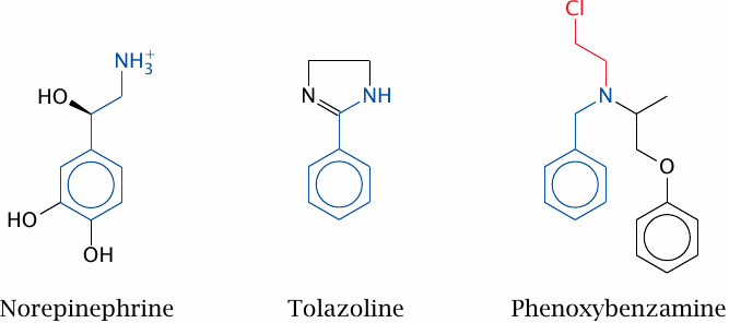 Two inhibitors of α-adrenergic receptors