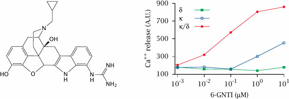 Novel receptor specificity: selective activation of κδ opioid receptor
                    hetero-oligomers by a monovalent ligand