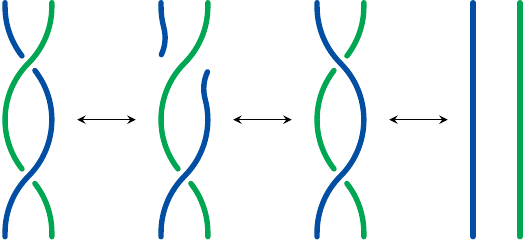 Function of DNA topoisomerases