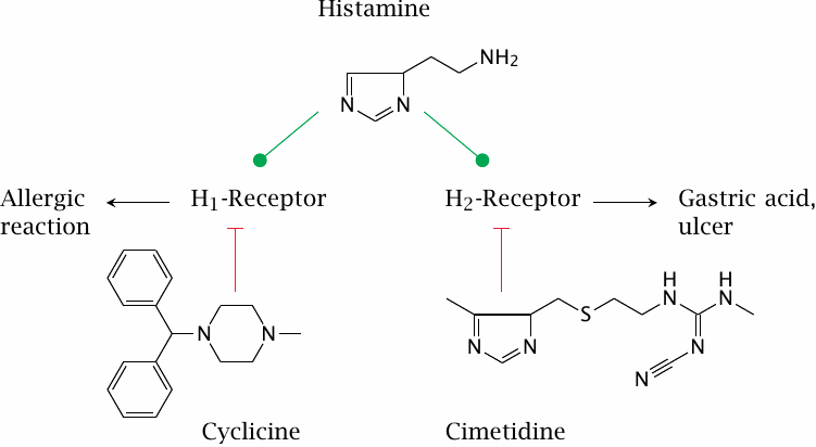 Histamine receptor antagonists