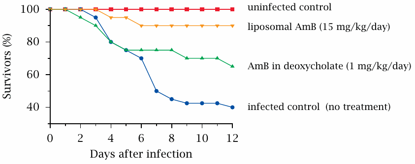 Liposomal vs. deoxycholate-solubilized amphotericin B in a mouse
                    infection model