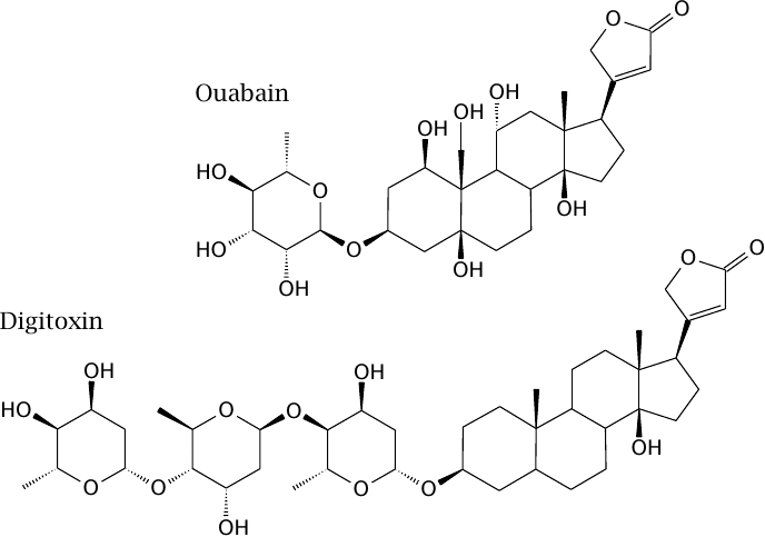 Structures of the Na+/K+-ATPase inhibitors ouabain and digitoxin
